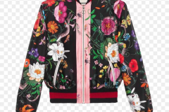 413-4132533_gucci-clothing-png-image-library-stock-gucci-clothes