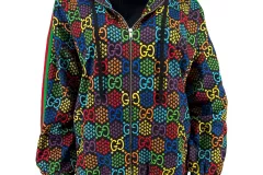 gucci-hoodie-multi-1