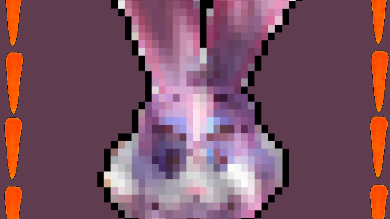 cover-4-scaled