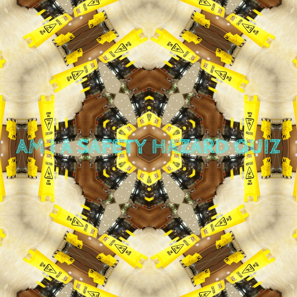 AM I A SAFETY HAZARD QUIZ COVER
