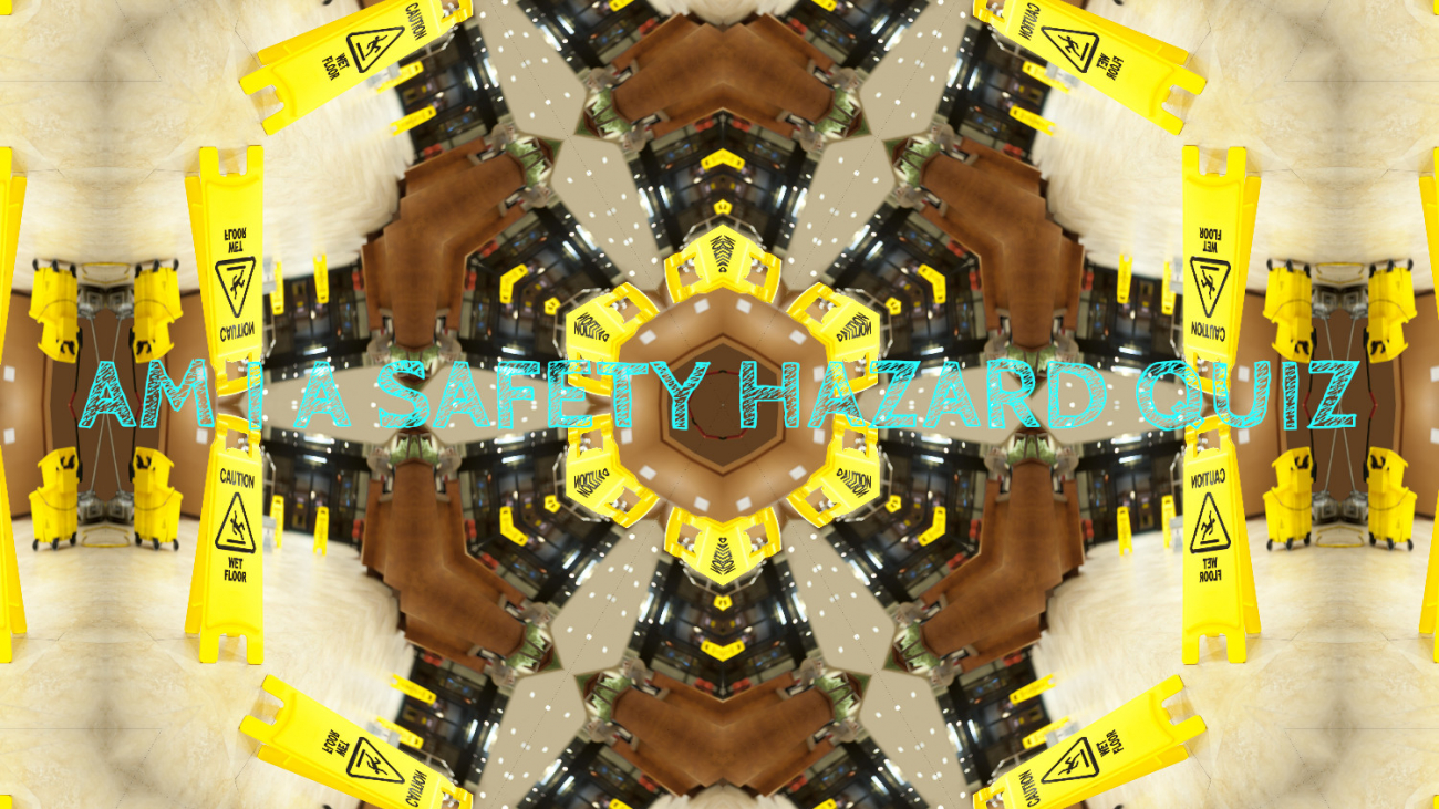 AM I A SAFETY HAZARD QUIZ COVER