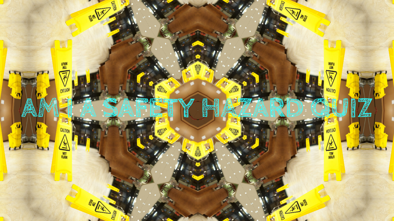 AM I A SAFETY HAZARD QUIZ COVER